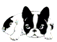 Flemo's Avatar