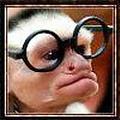 CockneyMackem29's Avatar