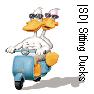 Stuartb55's Avatar