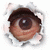 bigcat's Avatar