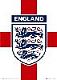 Threelions's Avatar