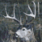 Huntnsinme's Avatar